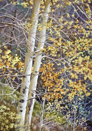 Framed Color of Autumn Print