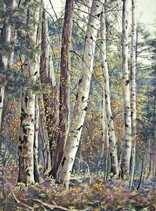 Framed Grace &amp; Maturity Print