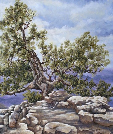 Framed Grand Canyon Rim Print