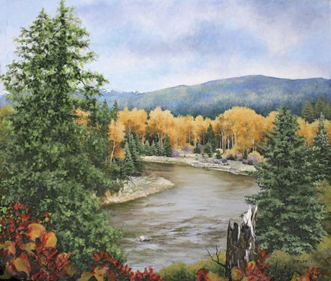 Framed Mountain Stream Print