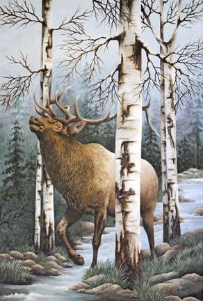 Framed Majestic Elk Print
