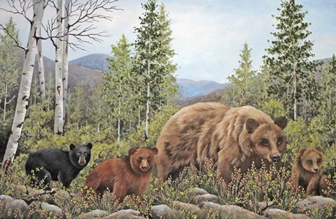 Framed Triplets Print