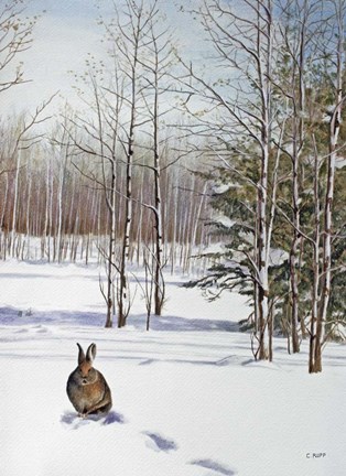 Framed Winter Rabbit Print