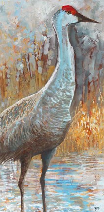 Framed Sandhill Cranes III Print