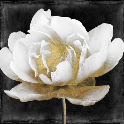 Framed Gilda II Print