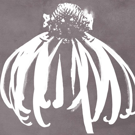 Framed Cone Flower Print