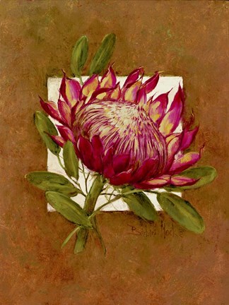 Framed Tropical Squares 3 Print