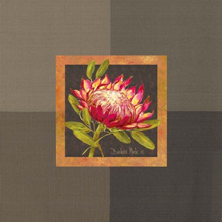 Framed Tropical Treasures I Print