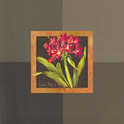 Framed Tropical Treasures IV Print