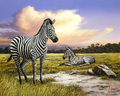 Framed Zebras Print