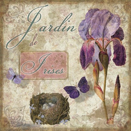 Framed Jardin de Fleurs III Print
