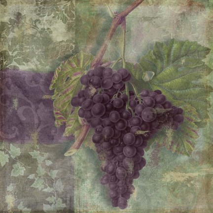 Framed Vin Margeaux II Print