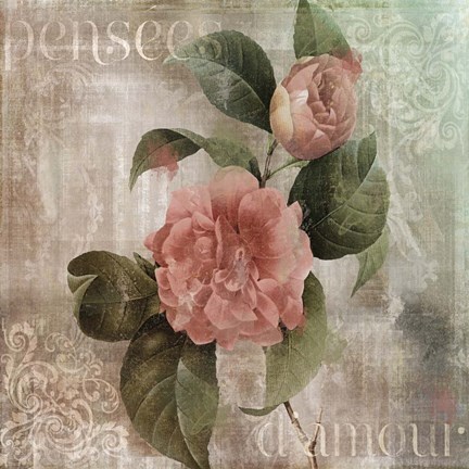 Framed Pensees Damour Print