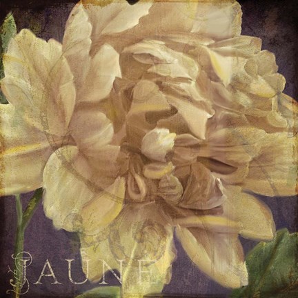 Framed Coleurs Jaune Print