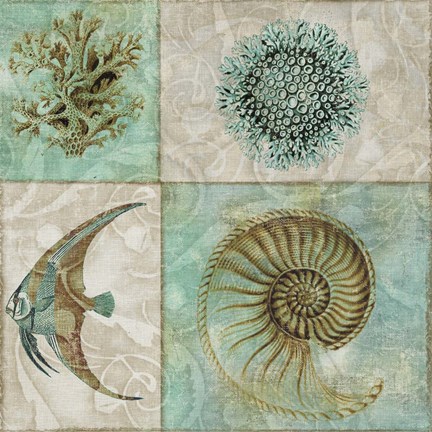 Framed Sea Life II Print