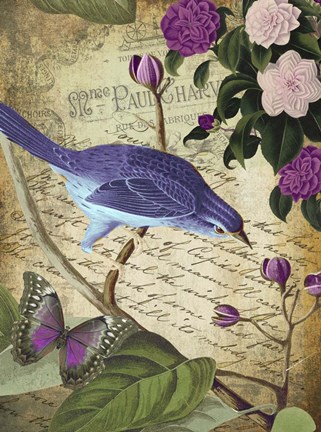 Framed Petals and Wings II Print