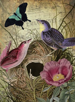 Framed Petals and Wings IV Print