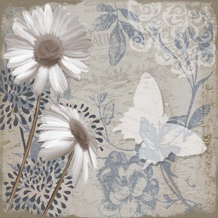 Framed Daisy Recital I Print