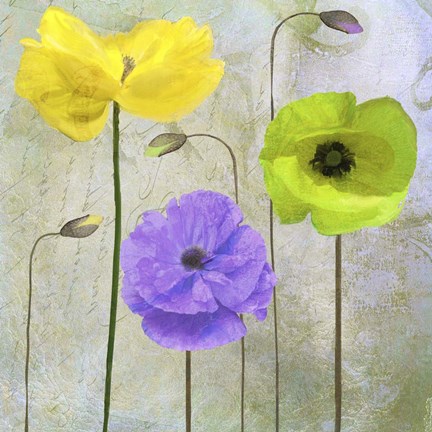 Framed Garden Shimmer II Print