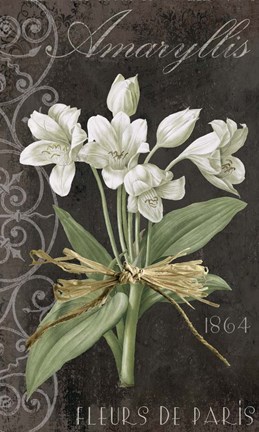 Framed Fleurs de Paris I Print