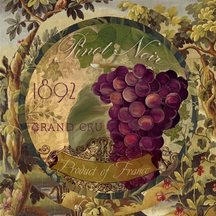 Framed Wines of France II Print