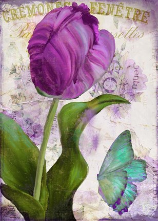 Framed Parrot Tulips II Print