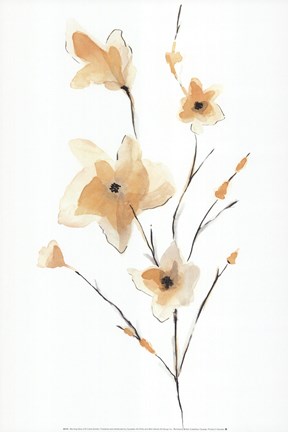 Framed Morning Glory II Print