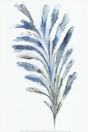 Framed Reach II Print