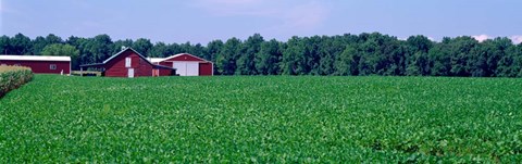 Framed Green Field with Barn, Maryland Print