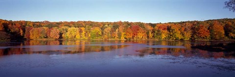 Framed Reflection of Trees and Plants in Water, Bergen County, New Jersey Print