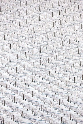 Framed Aerial View of Aquidneck Island, Newport, Rhode Island Print