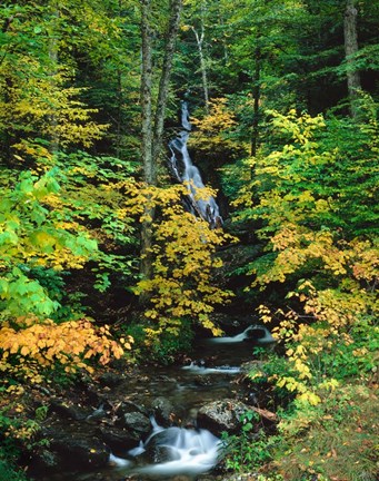 Framed Moss Glen Falls, Granville Reservation State Park, Vermont Print