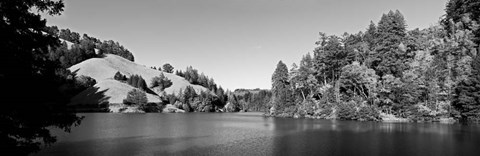 Framed Lake Lagunitas, California (BW) Print