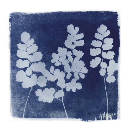 Framed Flora Cyanotype II Print