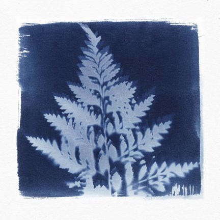 Framed Flora Cyanotype II Print