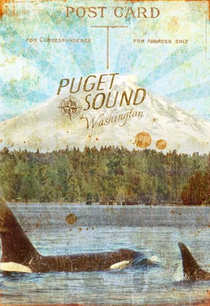 Framed Sound Residents Print