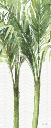 Framed Mixed Greens XI Print