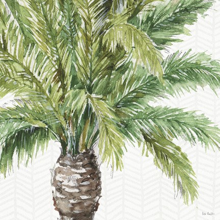 Framed Mixed Greens III Print