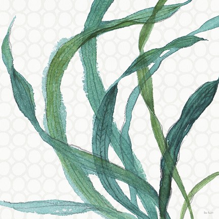 Framed Mixed Greens XXIII Print