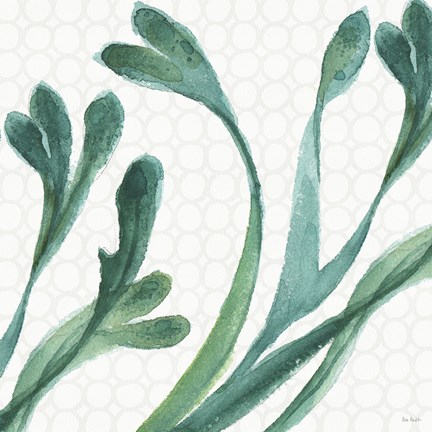 Framed Mixed Greens XXIV Print