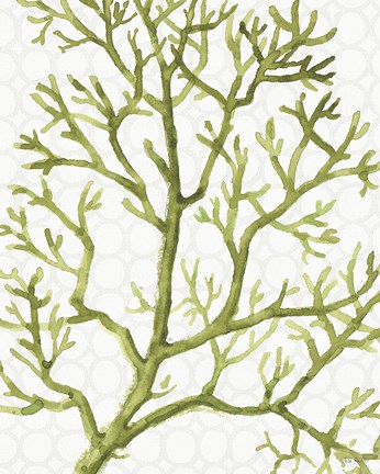 Framed Mixed Greens XXV Print