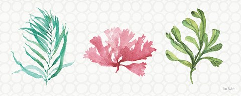 Framed Mixed Greens XXXI Print