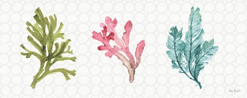 Framed Mixed Greens XXXII Print