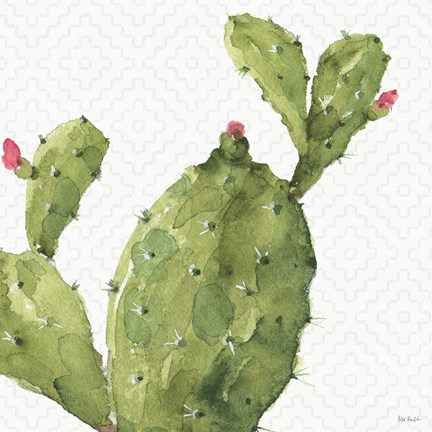 Framed Mixed Greens XXXV Print