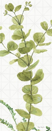 Framed Mixed Greens LX Print