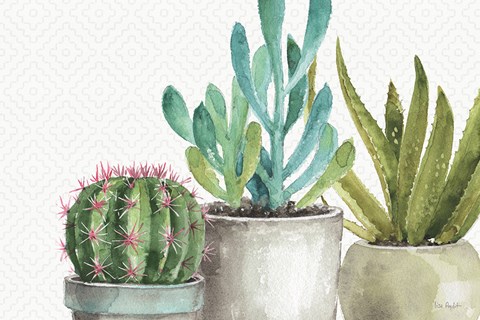 Framed Mixed Greens XXXIV Print