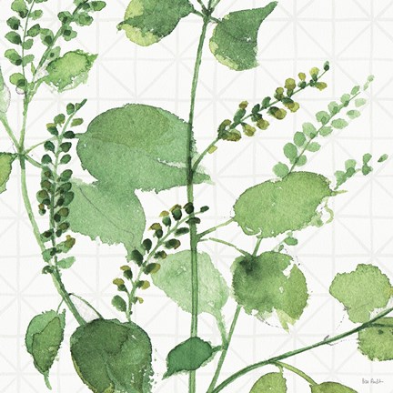 Framed Mixed Greens LIII Print