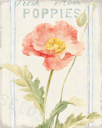 Framed Floursack Florals IV Print