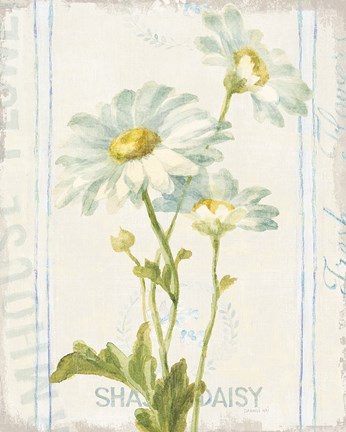 Framed Floursack Florals III Print