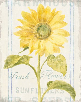 Framed Floursack Florals II Print